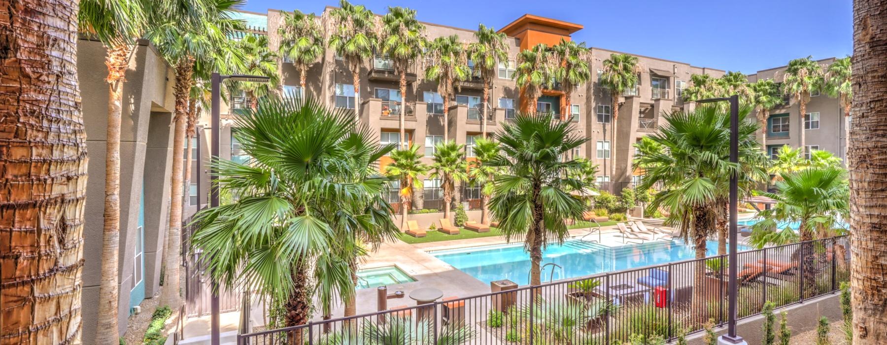 a pool surrounded by palm trees